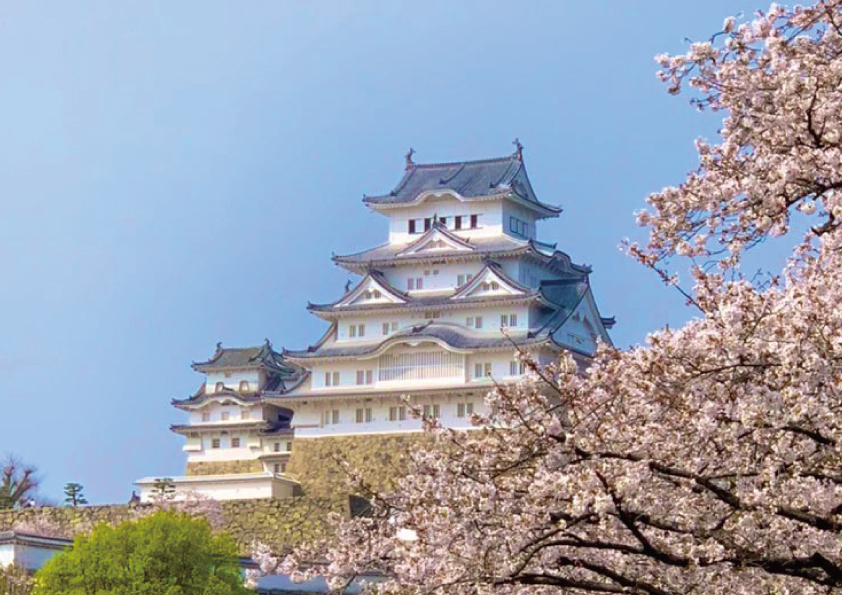 桜を観に姫路城へ♪